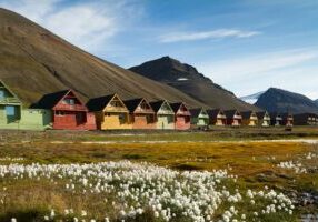 Norge-Svalbard-sommer-Longyearbyen